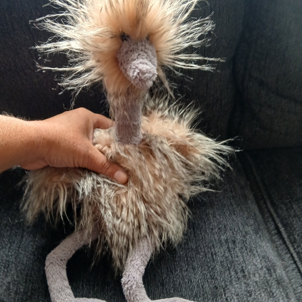 Jellycat Furry Plush Toy in Brown and Cream